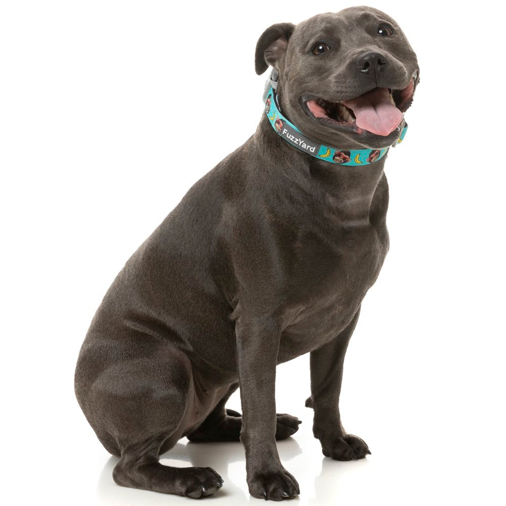 FuzzYard Dog Collar (Gor-illz)