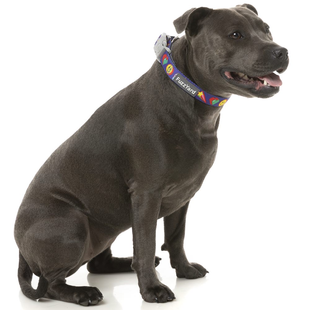 FuzzYard Dog Collar (Highscore)