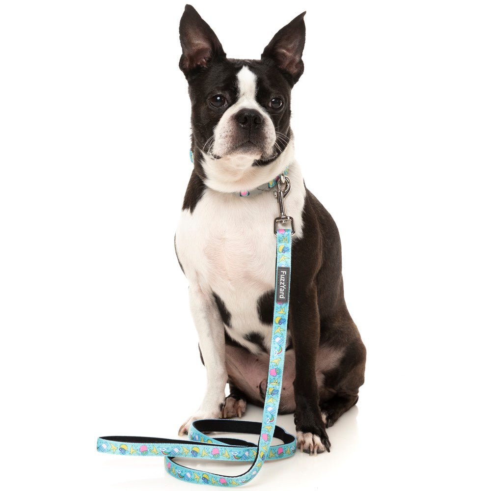 FuzzYard Dog Collar (Wakey Wakey)