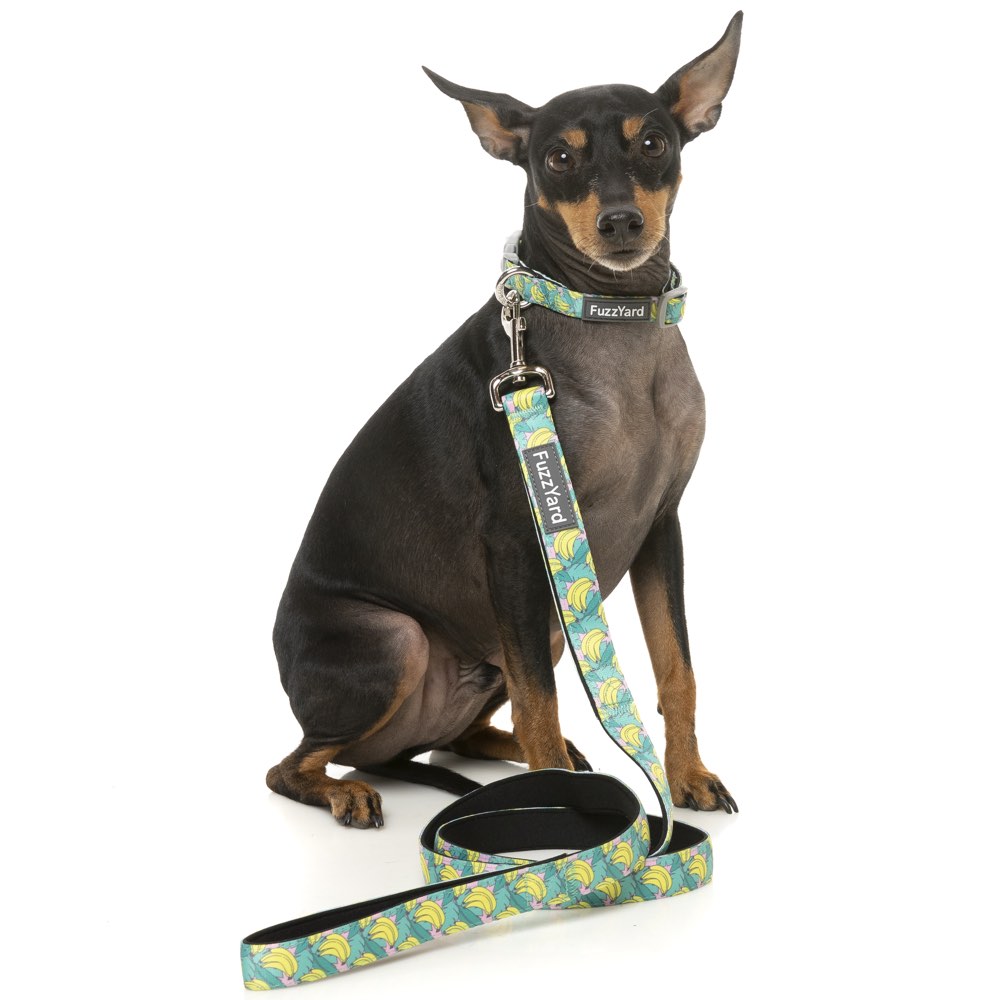 FuzzYard Dog Leash (Bananarama)