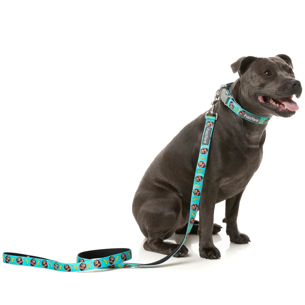 FuzzYard Dog Leash (Gor-illz)