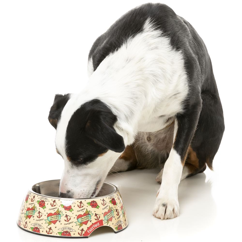 15% OFF: FuzzYard Easy Feeder Dog Bowl (Ink'd Up)