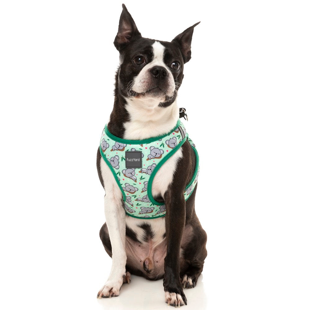 FuzzYard Step-In Dog Harness (Dreamtime Koalas)