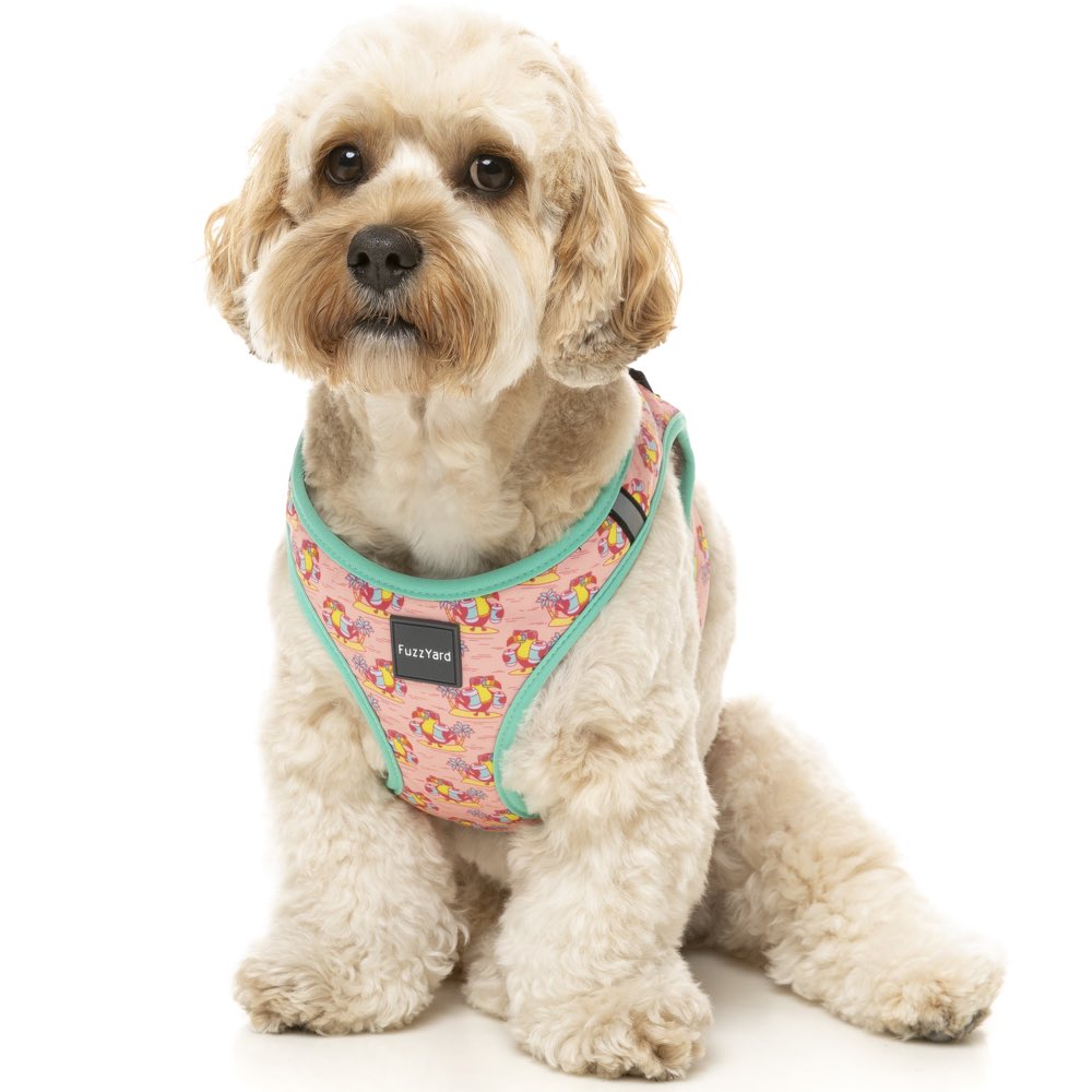15% OFF: FuzzYard Step-In Dog Harness (Two-Cans)