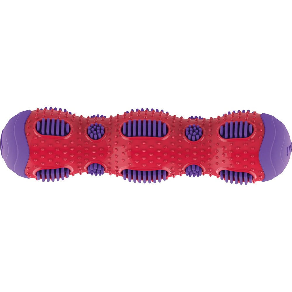 GiGwi Toothbrush Stick Rubber Dog Toy