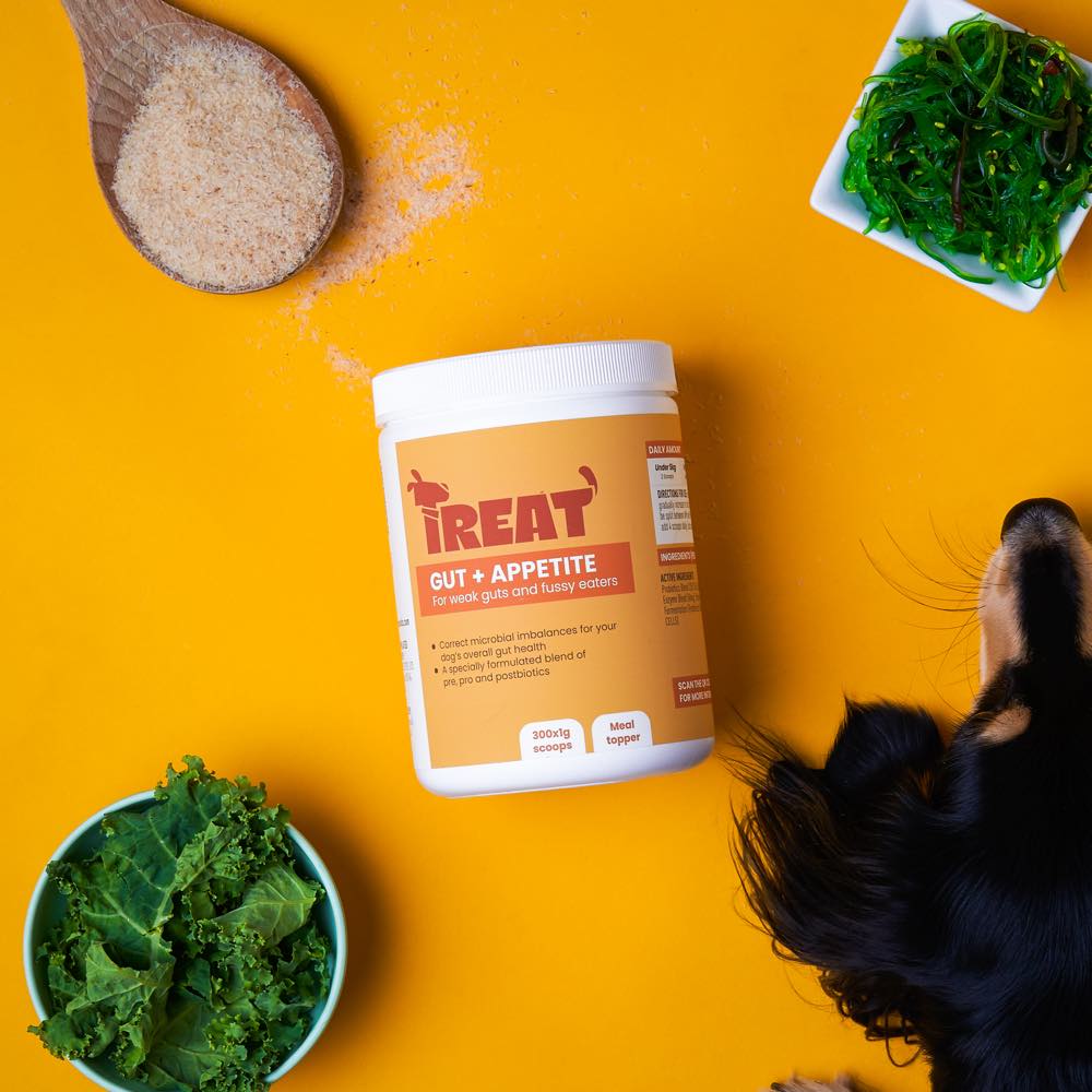 Treat Therapeutics Gut + Appetite Digestive Dog Supplement 300g