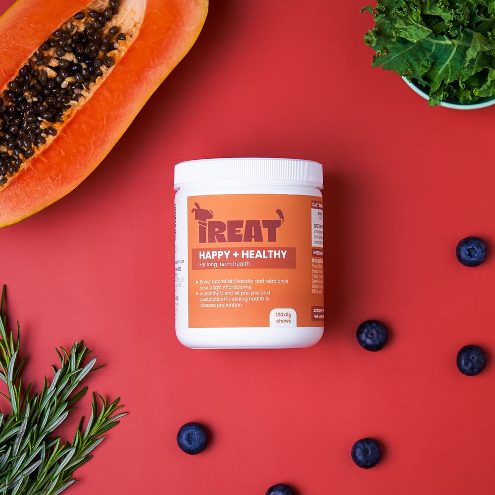 Treat Therapeutics Happy + Healthy Dog Supplement 360g