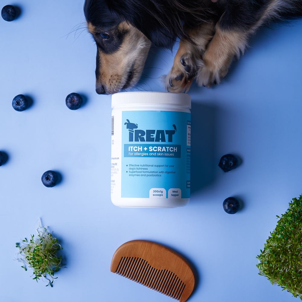 Treat Therapeutics Itch + Scratch Skin Dog Supplement 300g