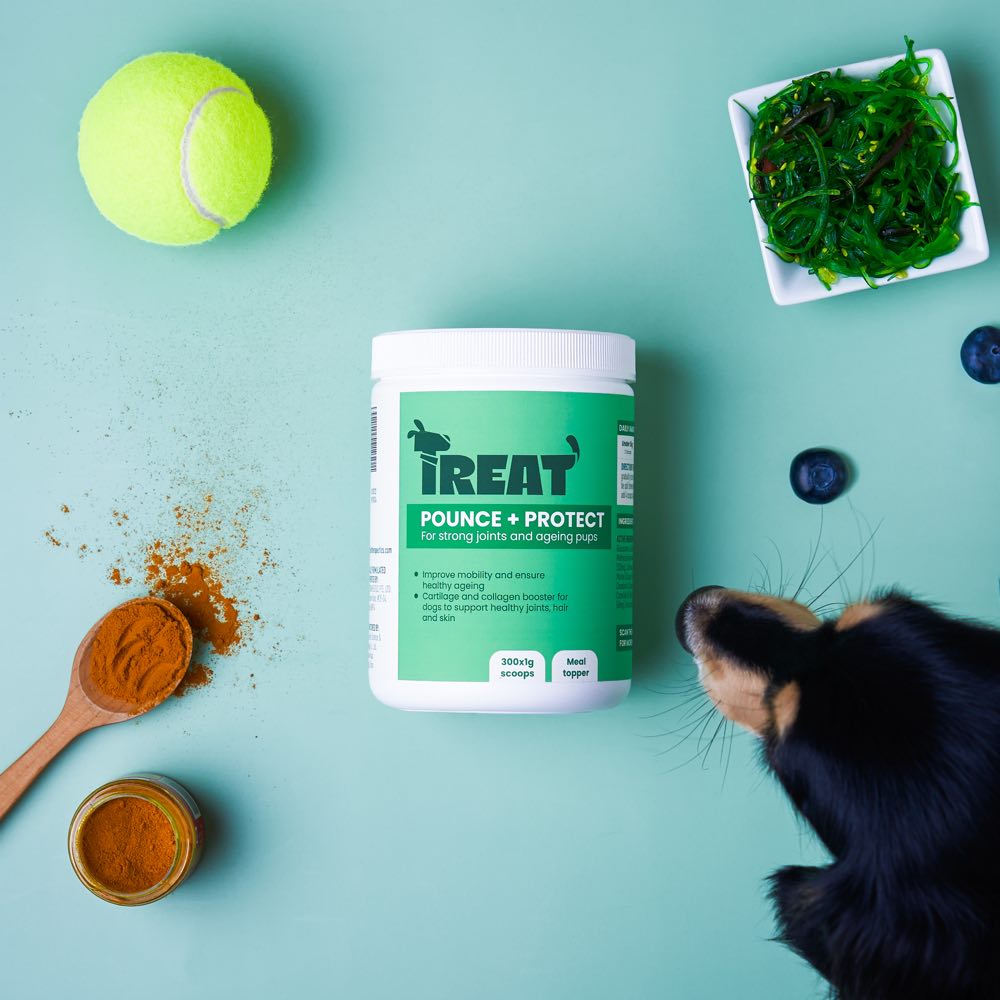 Treat Therapeutics Pounce + Protect Joint Dog Supplement 300g